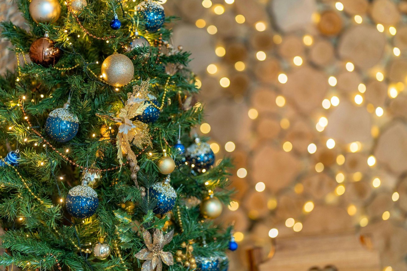 Find the Perfect Christmas Tree with Lights On Sale
