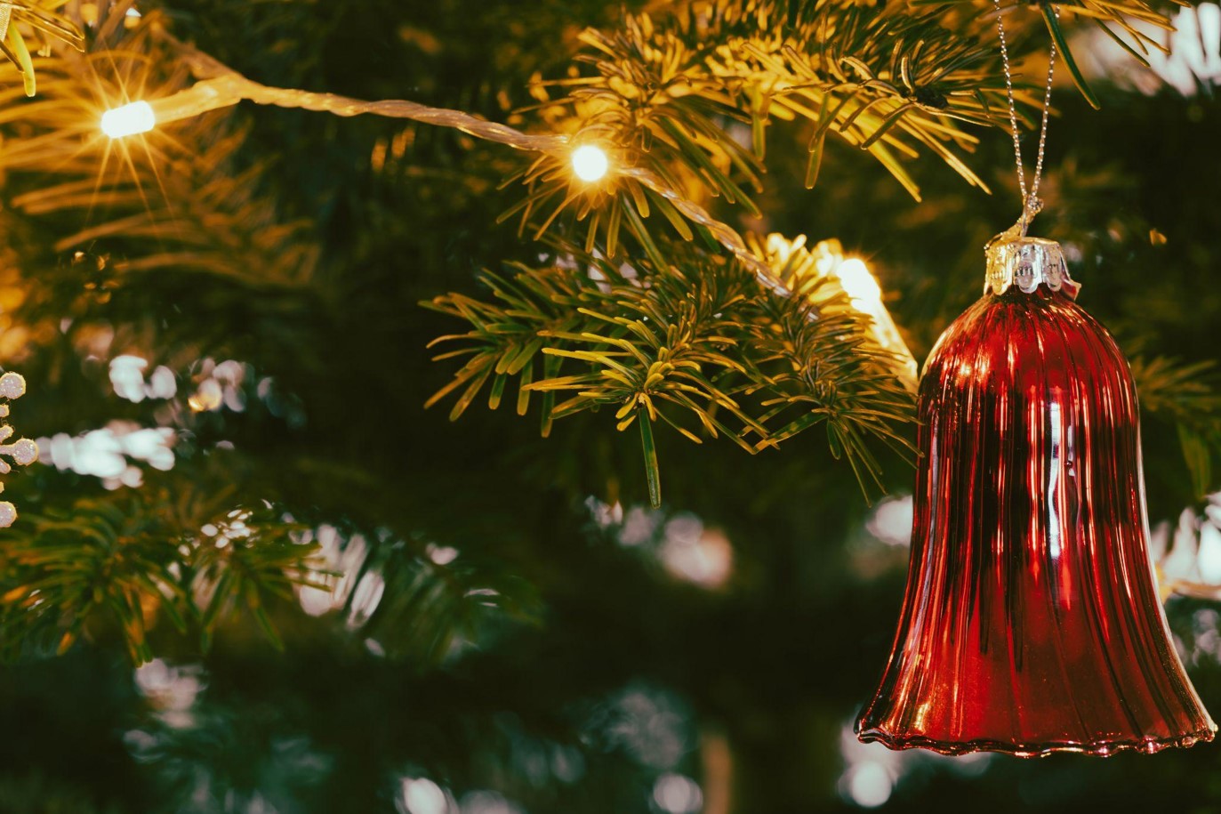 Choosing the Perfect Christmas Tree with Lights